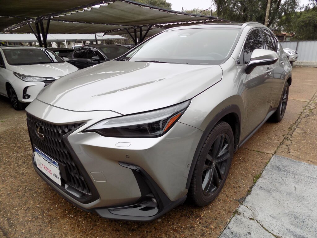 LEXUS NX 350 2025