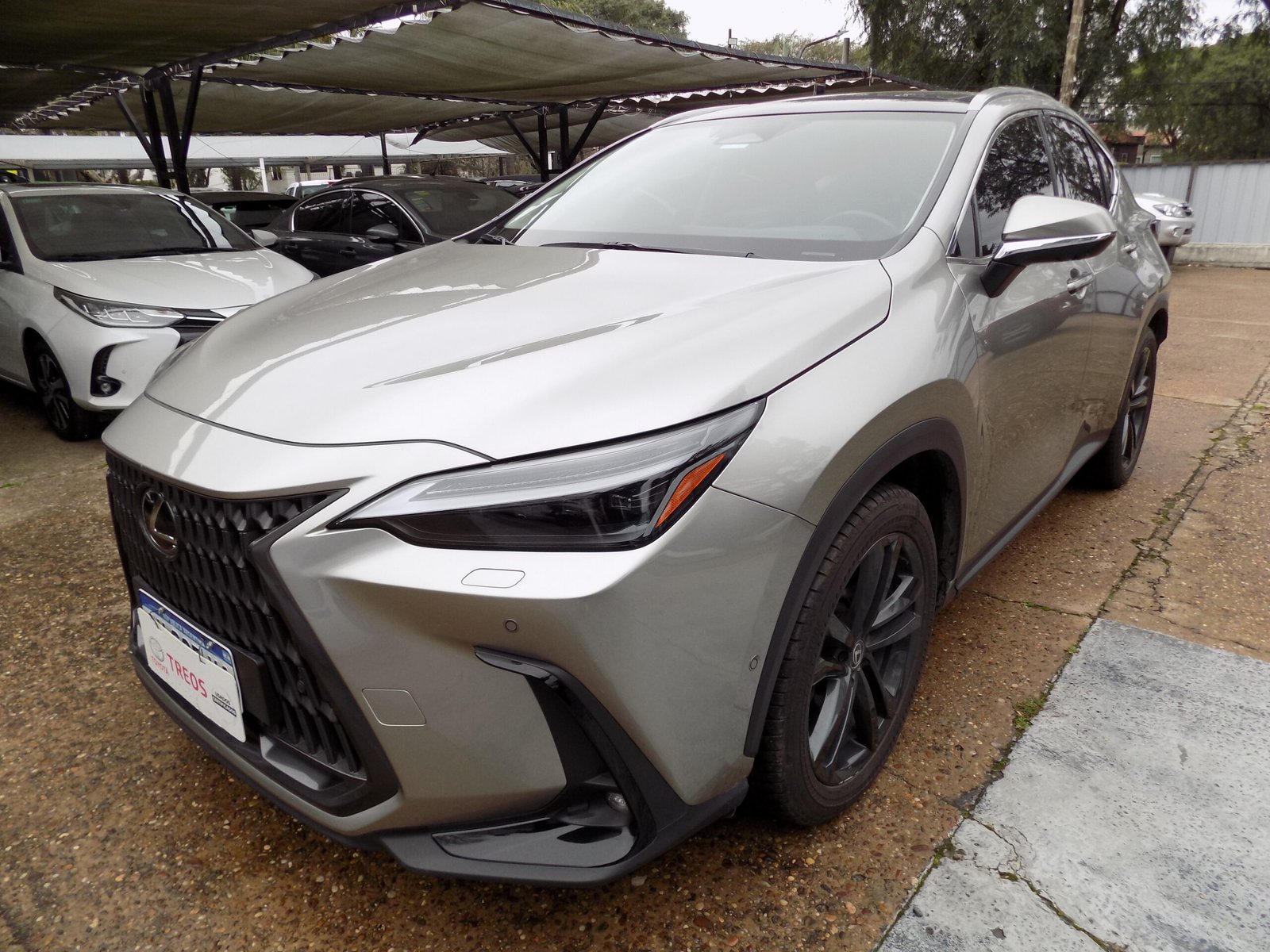 LEXUS NX 350 2025